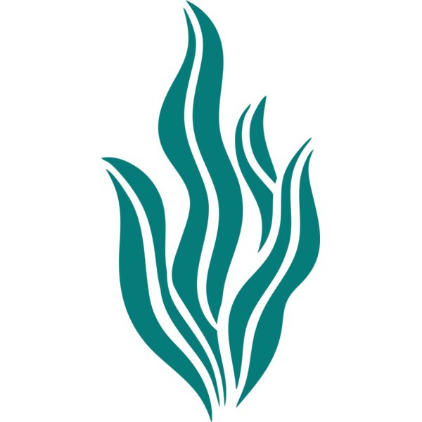 Sea Plants 6 Thumbnail