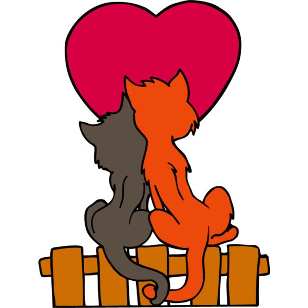 catlove1 Thumbnail