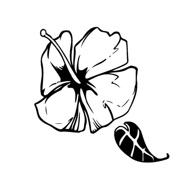 hibiscus flower Thumbnail