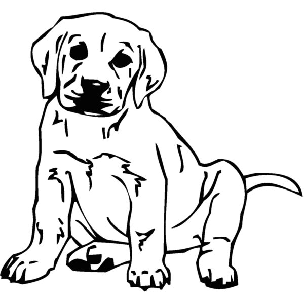 labrador Thumbnail