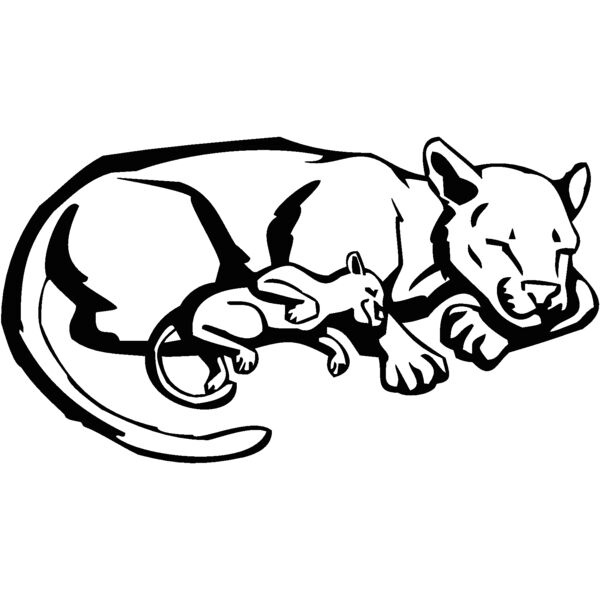 sleepingcougar Thumbnail