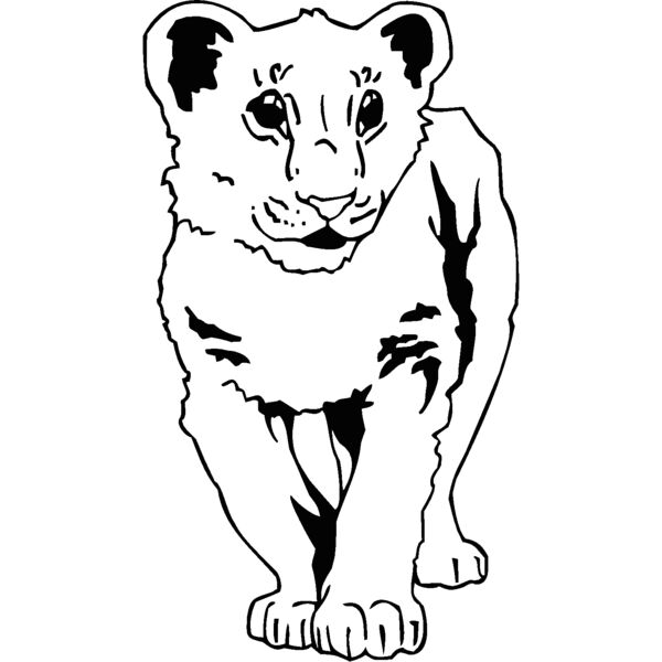 lioncub Thumbnail