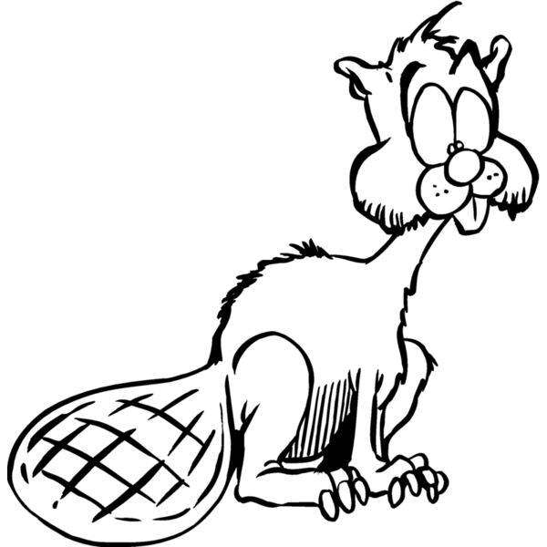 beaver3 Thumbnail
