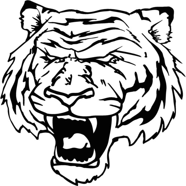 tigerhd4 Thumbnail