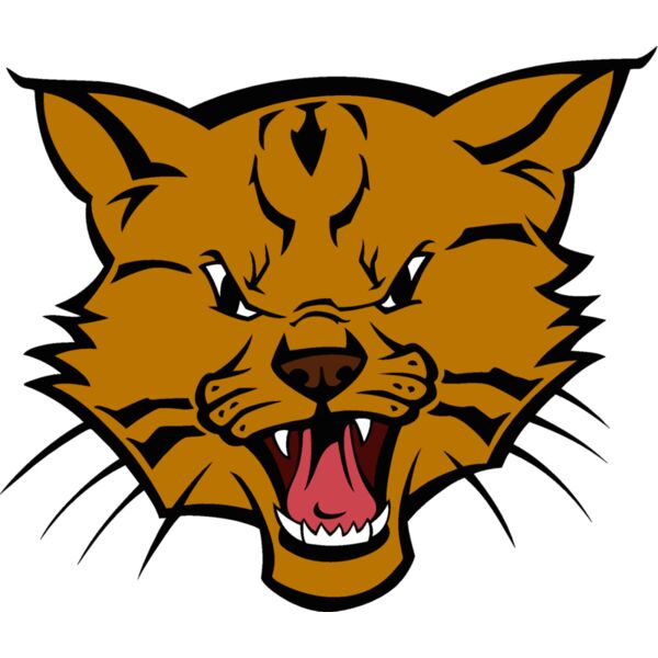 wildcat03v4clr  2  Thumbnail