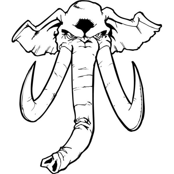 elephanthead04 Thumbnail