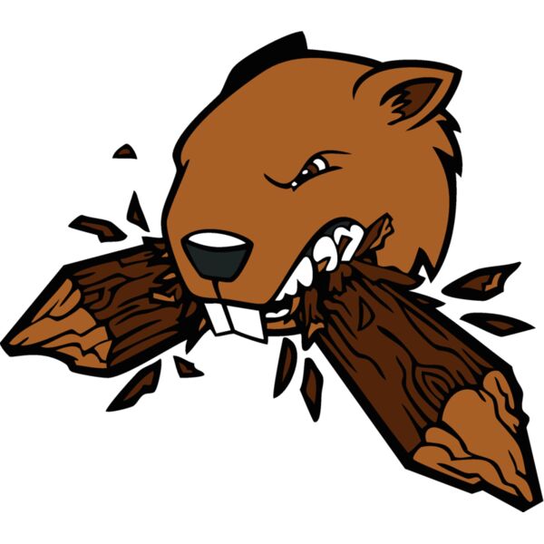 beaver36 Thumbnail