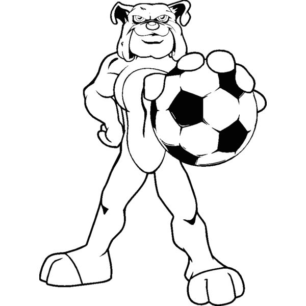 bulldogsoccer1 Thumbnail