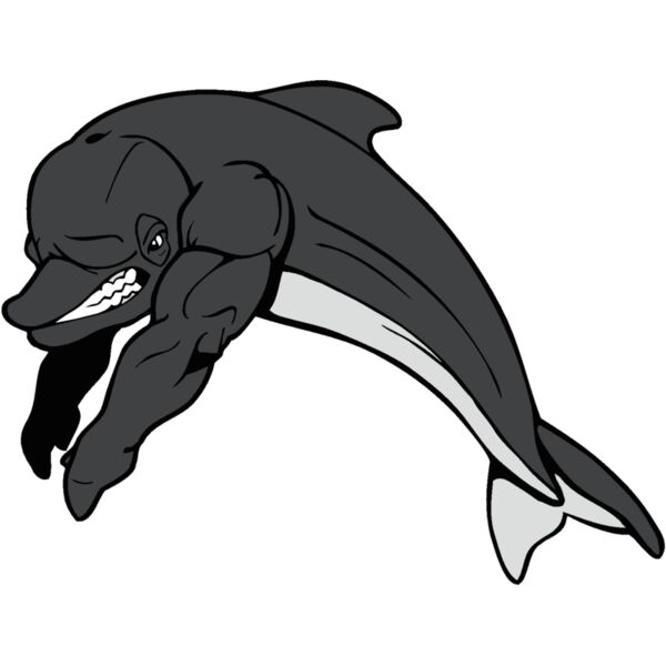 dolphinswm2 Thumbnail