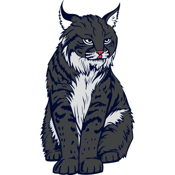 wildcat07v4clr Thumbnail