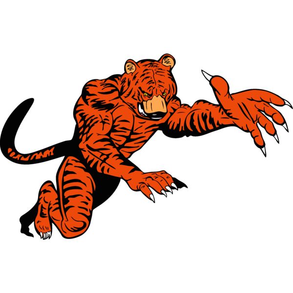 tigermsct02 Thumbnail