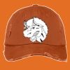 Distressed Cap Thumbnail