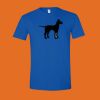 Softstyle® T-Shirt Thumbnail